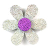image variant Plata/Morado