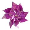 image variant Morado Ab