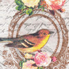 image variant Multi-Color