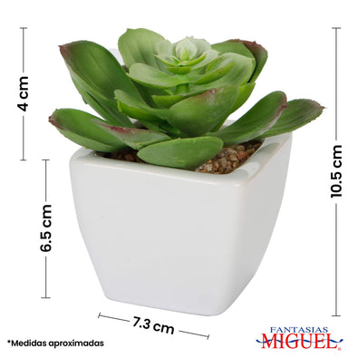 Fantasías Miguel Art.1628 Cactus Con Base Cerámica 10.5cm 1pz