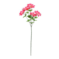 Art.2539 Vara De Flores X5