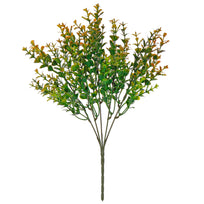 Art.2563 Plantita x5 Color Especial