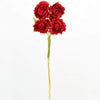 image variant Rojo