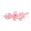 image variant Rosa