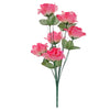 image variant Rosa Mexican