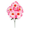 image variant Rosa