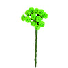 image variant Lima/Verde