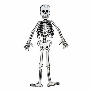 Art.5678 Fomi Esqueleto