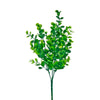 image variant Verde