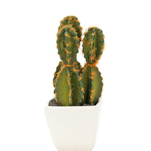 Art.5840 Follaje Plástico Cactus Con Base