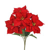image variant Rojo