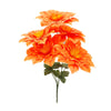 image variant Naranja