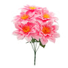 image variant Rosa