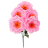 image variant Rosa
