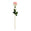 Fantasías Miguel Art.8970 Vara Rosa Fina Micro Peach 64cm 1pz Crema/Rosa