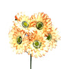image variant Crema/Cafe