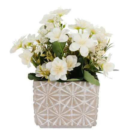 Base De Cemento Cuadrada Con Magnolia Fina