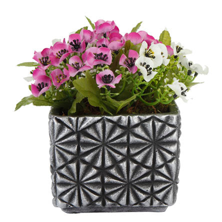 Base De Cemento Con Orquídeas