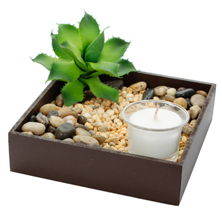 Jardín Zen Con Suculenta