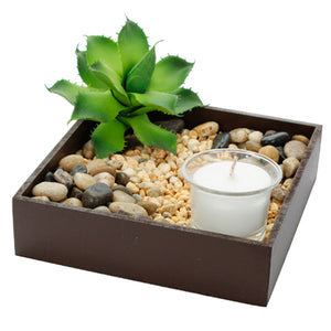 Jardín Zen Con Suculenta